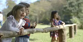 Para ver no sofá: ‘O Começo da Vida’ vira série na Netflix