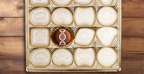 Foto: (Imagem sem texto alternativo disponivel ID [1858060])