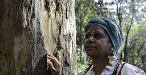 Foto: (Imagem sem texto alternativo disponivel ID [2237067])