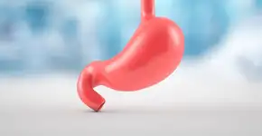 Foto: (Imagem sem texto alternativo disponivel ID [2632805])