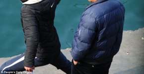 Imagens angustiantes mostram momento em que homem apedreja gaivotas até a morte