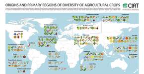 Foto: (Imagem sem texto alternativo disponivel ID [1036610])