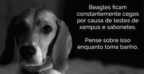 Foto: (Imagem sem texto alternativo disponivel ID [879348])