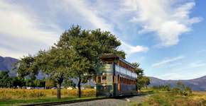 5 passeio divertidos e inusitados na África do Sul