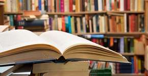 Foto: (Imagem sem texto alternativo disponivel ID [1869986])