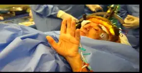 Foto: (Imagem sem texto alternativo disponivel ID [1428168])