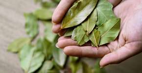 Foto: (iStock/Aleksandra Staszczyk)