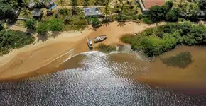 Foto: (iStock/Wirestock)