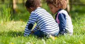 Foto: (Imagem sem texto alternativo disponivel ID [1607955])