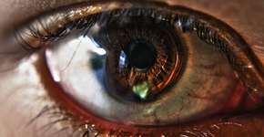 Foto: (Imagem sem texto alternativo disponivel ID [1029522])