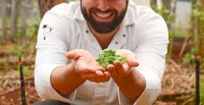 Foto: (Divulgação)