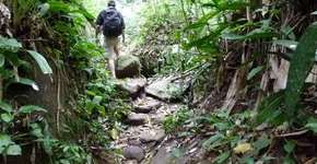 Foto: (Imagem sem texto alternativo disponivel ID [1869043])