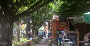 Cinco motivos para você curtir Monte Verde no outono