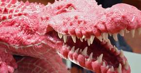 Foto: (Imagem sem texto alternativo disponivel ID [1868189])