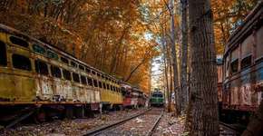 Foto: (Imagem sem texto alternativo disponivel ID [801986])