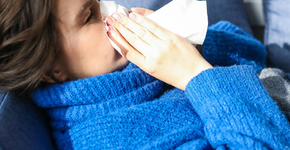 Plantas ideais para quem sofre com alergias dentro de casa