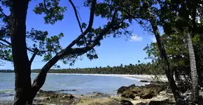 Foto: (Márcio Diniz/Catraca Livre)