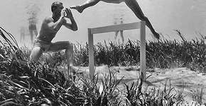 Foto: (Imagem sem texto alternativo disponivel ID [392915])