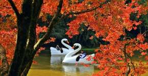 Foto: (Divulgação)