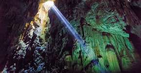 Foto: (Thomas Young)