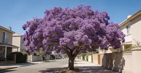 Foto: (Imagem sem texto alternativo disponivel ID [2707317])