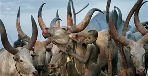 Dupla de fotógrafas dedica a carreira a clicar costumes e rituais de tribos africanas