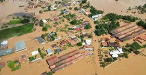 Após chuvas intensas e cidades alagadas, SC decreta situação de emergência