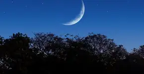 Foto: (Imagem sem texto alternativo disponivel ID [2730002])