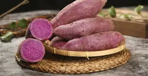 Batata-doce: 5 formas de consumir e aproveitar os seus benefícios