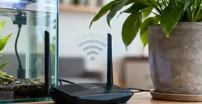 O wi-fi da sua casa pode estar fraco por culpa de espelhos ou plantas próximas a ele