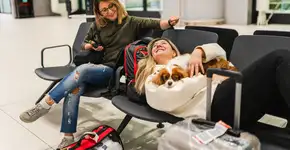 Foto: (Istock/Su Arslanoglu)