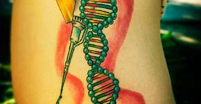 Foto: (Imagem sem texto alternativo disponivel ID [1031243])