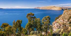 Foto: (Istock/hadynyah)