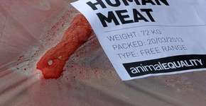 Na Espanha, ativistas trocam de lugar com animais em bandejas de carne