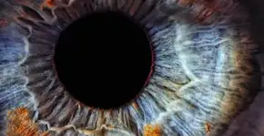 Foto: (Imagem sem texto alternativo disponivel ID [1838159])