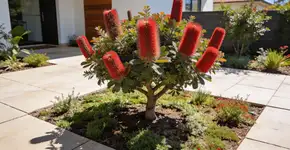 Foto: (Imagem sem texto alternativo disponivel ID [2715801])