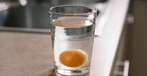 Foto: (Imagem sem texto alternativo disponivel ID [2726567])