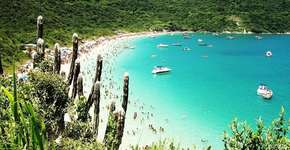 Foto: (Imagem sem texto alternativo disponivel ID [978107])