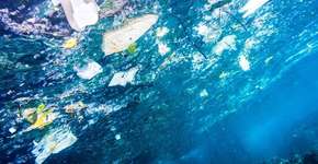 União Europeia proíbe o uso de plásticos descartáveis