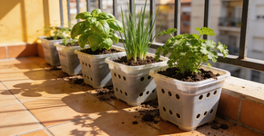 Foto: (Imagem sem texto alternativo disponivel ID [2728298])