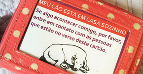 Foto: (Imagem sem texto alternativo disponivel ID [931113])