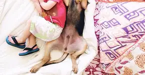 Foto: (Imagem sem texto alternativo disponivel ID [567228])