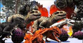 Foto: (Imagem sem texto alternativo disponivel ID [1843985])