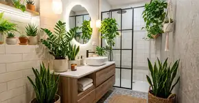 5 plantas que crescem na sombra e se adaptam bem a banheiros sem janela