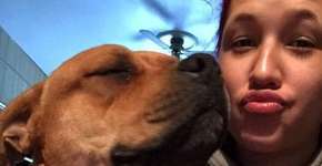 Mulher decide adotar pet e reencontra cão perdido há 2 anos