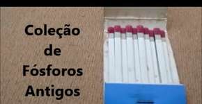 Foto: (Imagem sem texto alternativo disponivel ID [1870981])