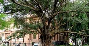 Foto: (Imagem sem texto alternativo disponivel ID [1844924])