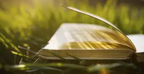 Baixe gratuitamente o livro “Jane Eyre”, que aborda a emancipação da mulher