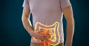 Câncer de intestino: conheça os fatores dietéticos que podem influenciar a doença