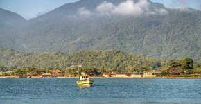 Foto: (Imagem sem texto alternativo disponivel ID [1528499])